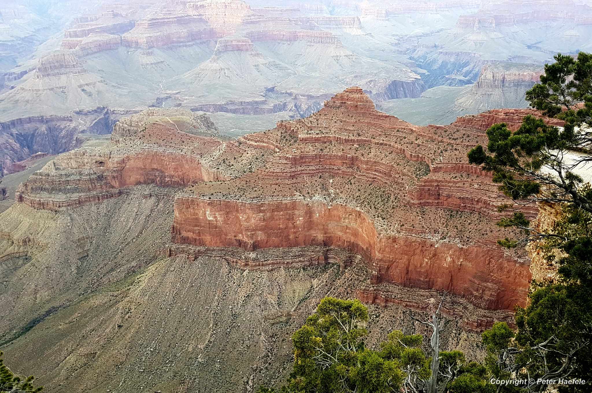 Roadtrip USA - Arizona - Grand Canyon (South Rim)