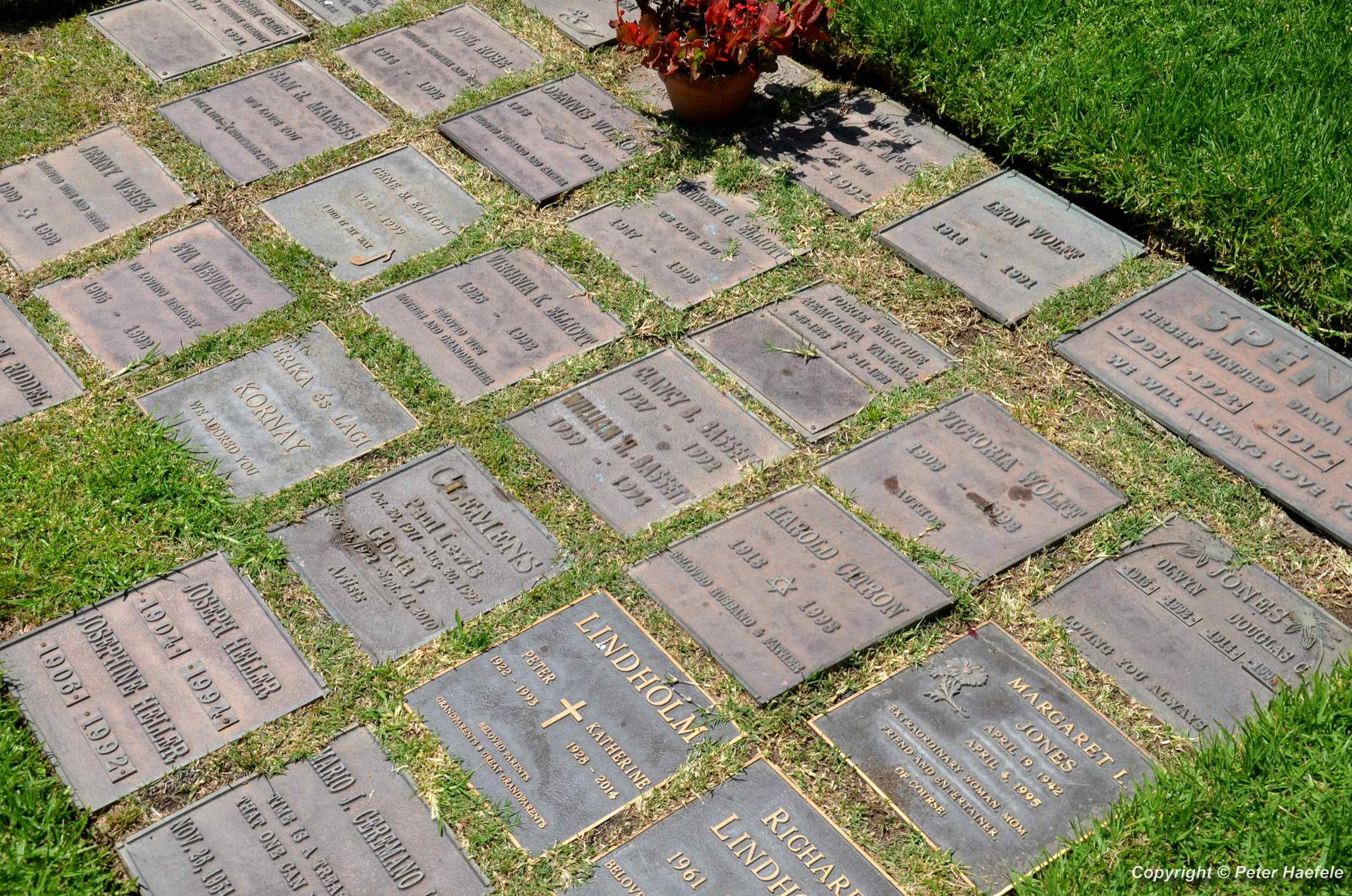 Urnenfeld Westwood Village Memorial Park Cemetery Los Angeles - © Peter Haefele Fotografie