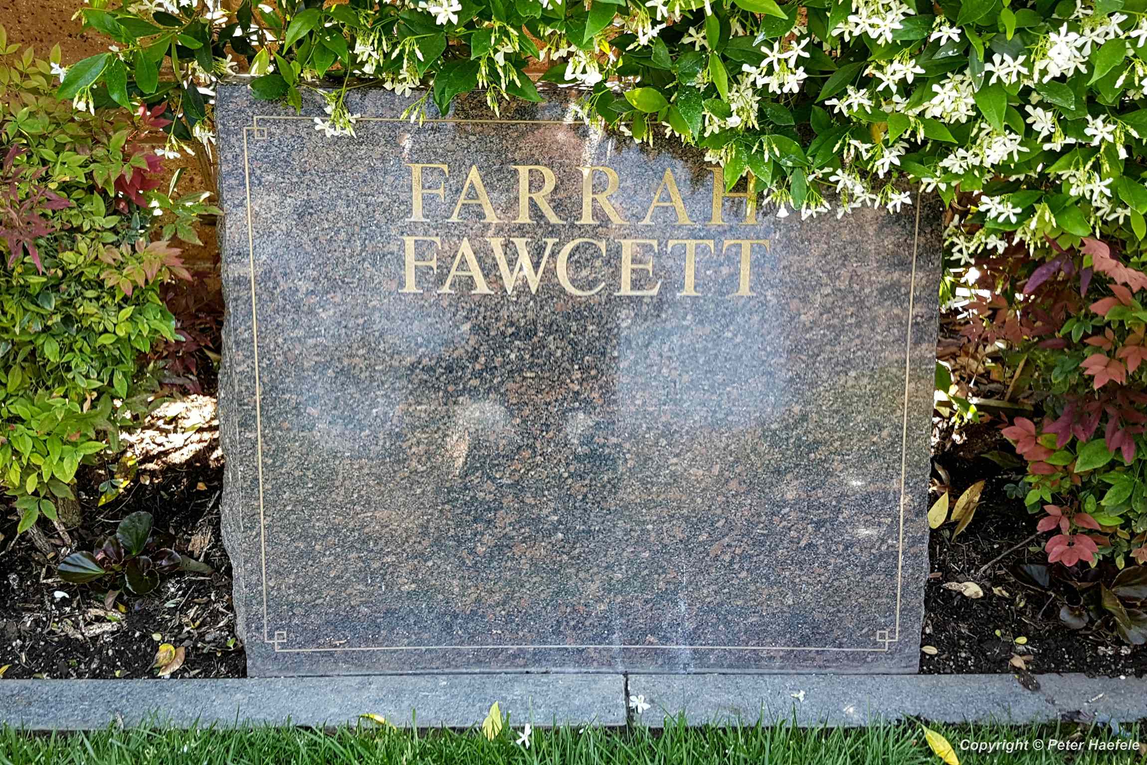 Das Grab von Farrah Fawcett auf dem Westwood Village Memorial Park Cemetery - © Peter Haefele Fotografie