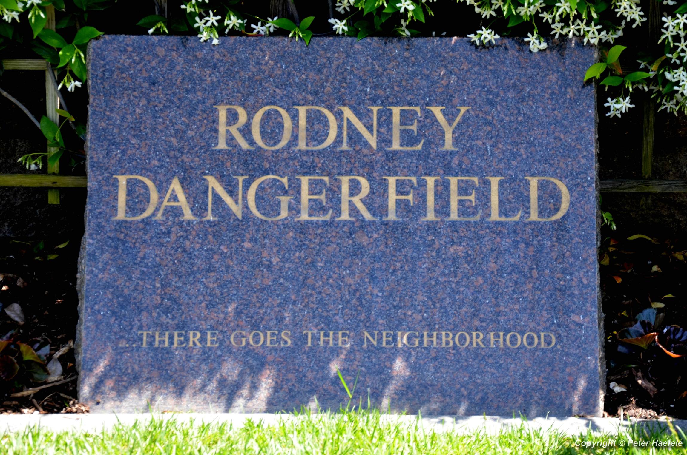 Westwood Village Memorial Park Cemetery Grab von Rodney Dangerfield - © Peter Haefele Fotografie