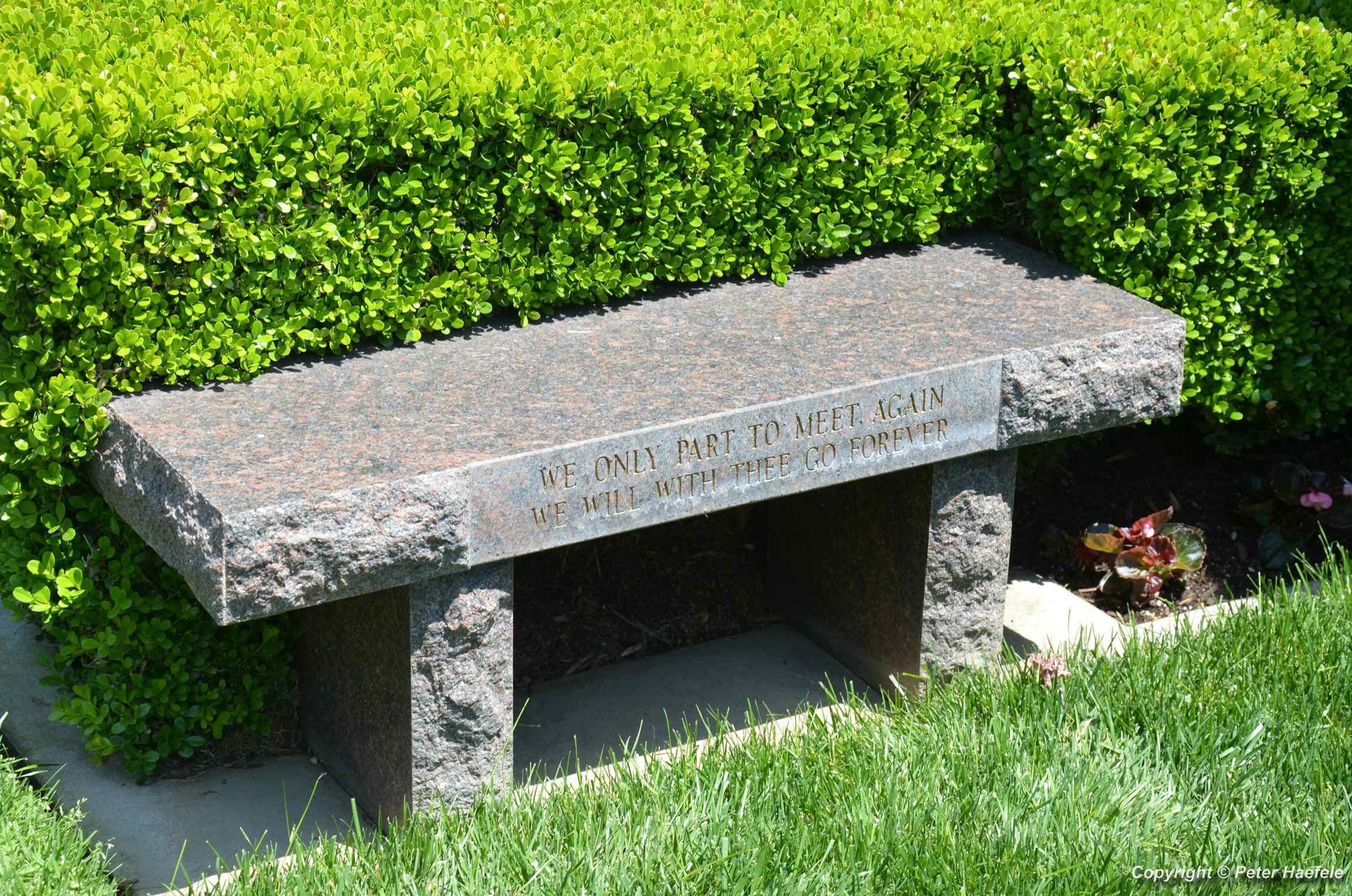 Westwood Village Memorial Park Cemetery - © Peter Haefele Fotografie 
